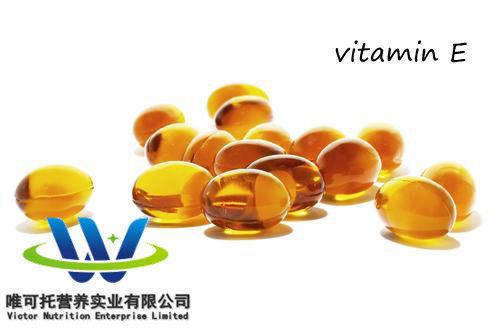 Естественная формула по уходу за кожей C31H52O3 98% Dl-Alpha Tocopheryl Acetate Zmc GMP Витамин E масло