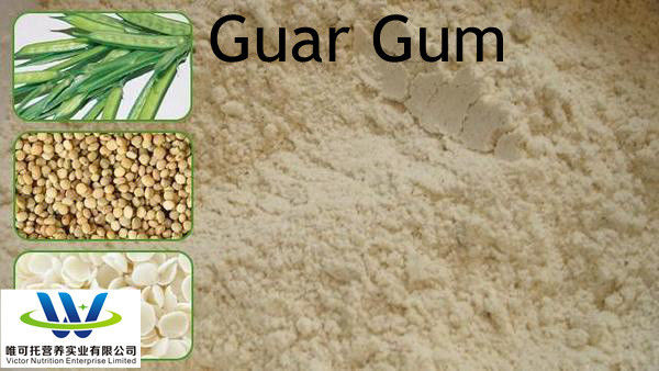Гума Guar для пищевых продуктов CAS 9000-30-0 с нормальным способом хранения Срок годности 12 месяцев